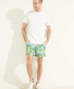 Summitpost.shopf460eb4555 2